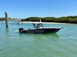 Sunset Cruises / Island Trips